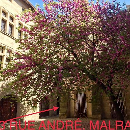 Appartement A 50 M De La Place Aux Herbes Uzès المظهر الخارجي الصورة